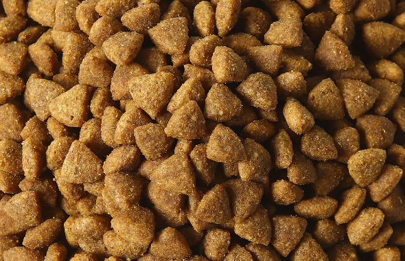 如何让狗子挑食吃狗粮呢