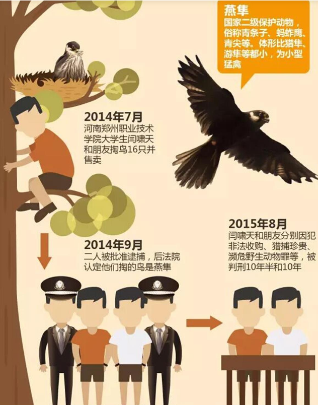 掏鸟被判十年半的大学生即将出狱：这是一次人生命运转折