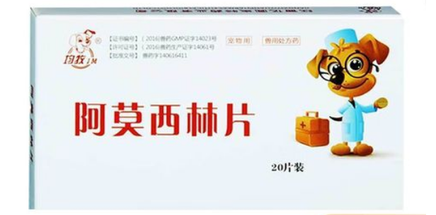 狗能吃人吃的阿莫西林消炎吗