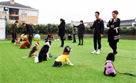 宠物训犬培训学校