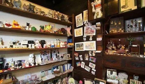 京都“猫猫寺”狂吸粉大喵,信徒超虔诚! 京都“猫猫寺”狂吸粉大喵,信徒超虔诚!