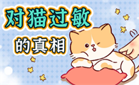 猫毛过敏几级不能养