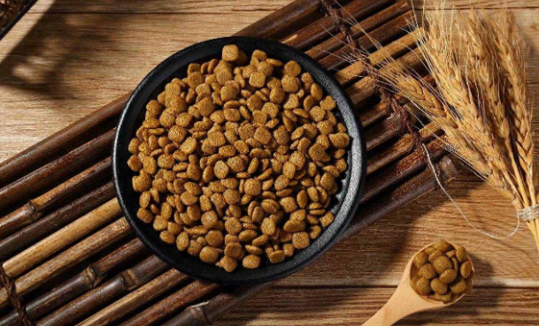 如何制作宠物狗粮