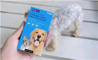 泰迪狗吃什么驱虫药好使