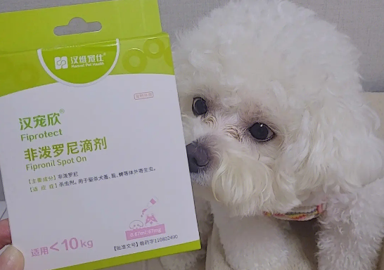 宠物体外驱虫药哪种好