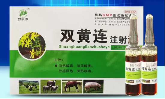 兽用双黄连主要治什么 兽用双黄连主要治什么