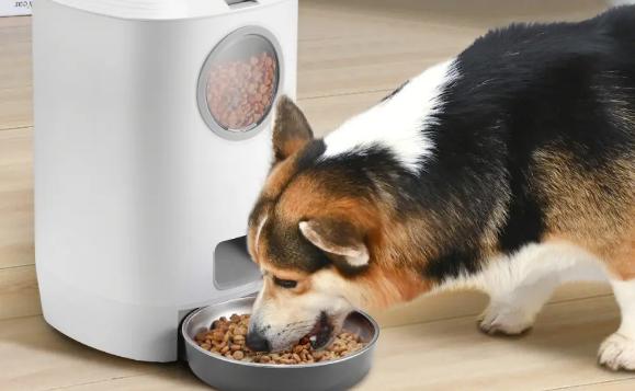 papifeed喂食器好不好？测评来了