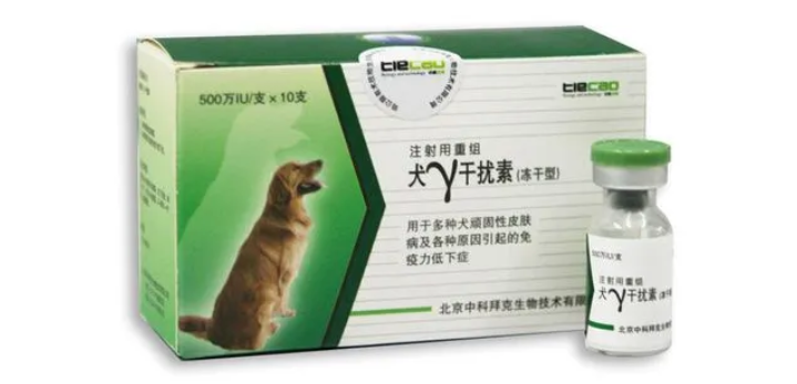狗狗打干扰素的危害性 狗狗打干扰素的危害性