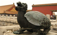 龟壳龙头叫什么