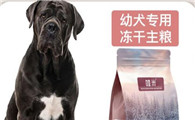 卡斯罗狗粮怎么样