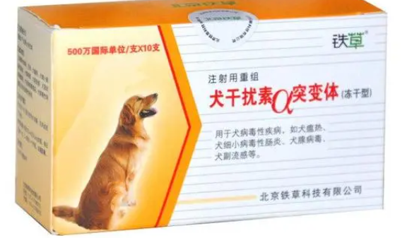 狗狗打干扰素配什么 狗狗打干扰素配什么