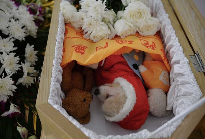 宠物怎么安葬好一些 宠物怎么安葬好一些