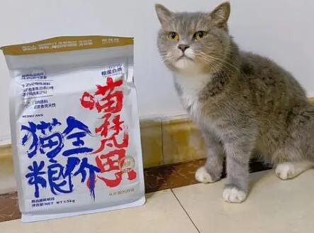 喵梵思猫粮真的良心吗 喵梵思猫粮真的良心吗
