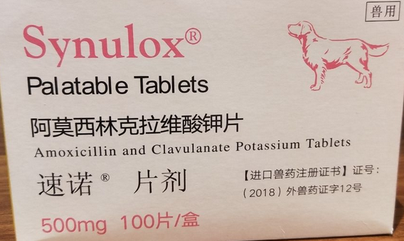 速诺片对于宠物的主治功能 速诺片对于宠物的主治功能