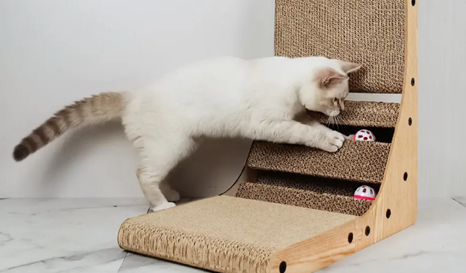 没有猫抓板拿什么代替 没有猫抓板拿什么代替