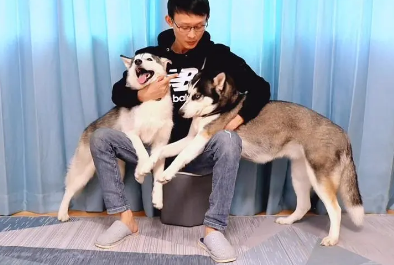 喜欢养狗的男人花心吗