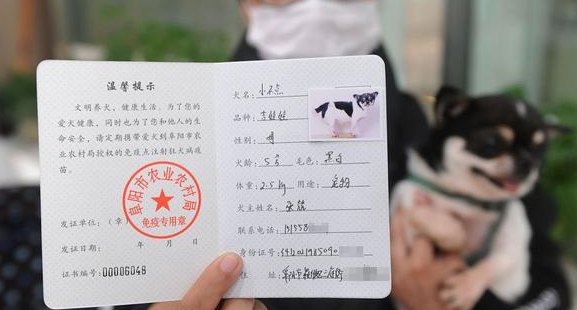 养宠物犬需要什么证件呢