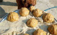 土狗粮的做法？这里有答案！