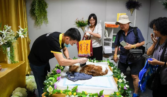 宠物火化殡葬哪家好
