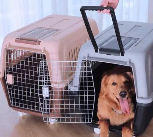 香港女星丧礼后兄弟决裂！拒绝弟媳入灵堂哈希娱乐- 哈希游戏平台- 哈希游戏官方网站母亲从未认可这个儿媳