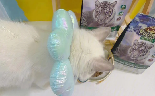 猫咪总是软便怎么办,极耀猫粮会好点吗? 猫咪总是软便怎么办,极耀猫粮会好点吗?