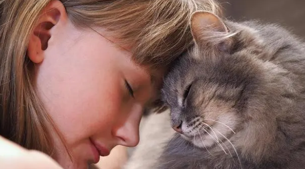 猫咪死了正确处理方法 猫咪死了正确处理方法