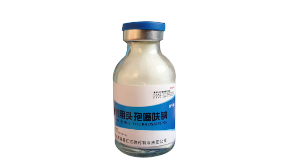 宠物专用消炎药有哪些 宠物专用消炎药有哪些