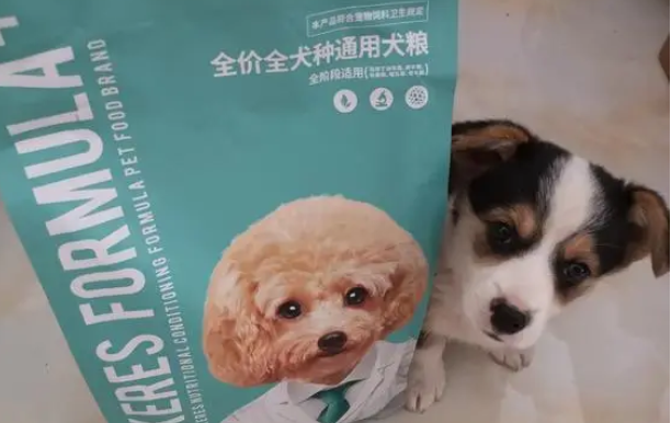 幼犬狗粮如何选好的品种 幼犬狗粮如何选好的品种
