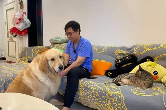 夫妻救助2只狗被判犯盗窃罪,好心没好报还是误会 夫妻救助2只狗被判犯盗窃罪,好心没好报还是误会