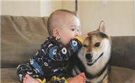 狗狗临死前能明白你说话吗?