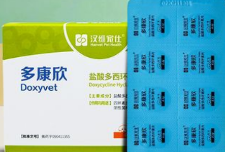 猫上呼吸道综合征怎么办？多康欣来帮您