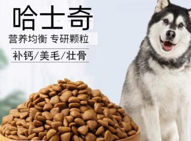如何辨别哈士奇狗粮真假视频