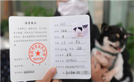 养宠物犬需要什么证件呢