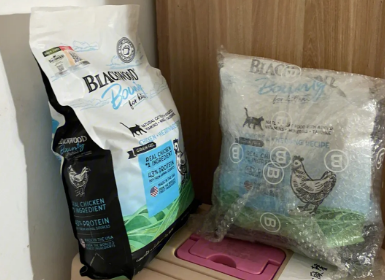 Blackwood珀萃｜猪咪养成记，选对猫粮很关键