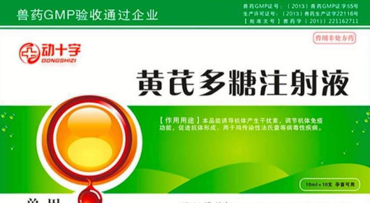 兽用黄芪多糖治什么病