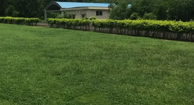 珠海宠物寄养哪家好