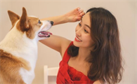 为何狗狗见到主人，一直那么兴奋？身后的六个缘故，让人心痛