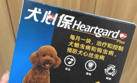 心丝虫伤害大曝光，狗狗驱虫要高度重视！