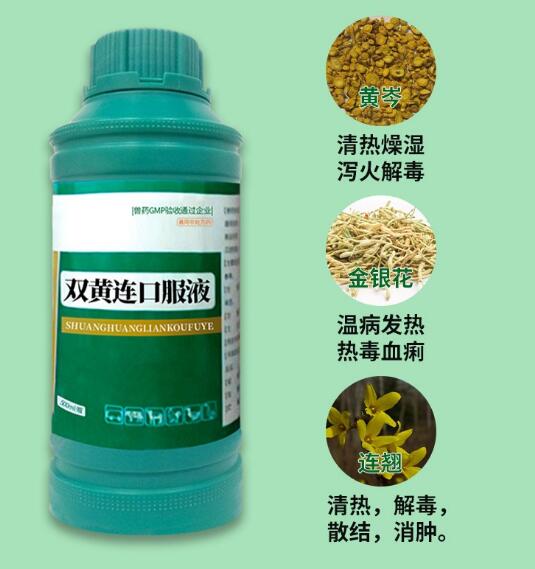 扁桃体发炎吃双黄连口服液有用吗
