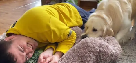 狗狗霸占小孩窝是为什么原因