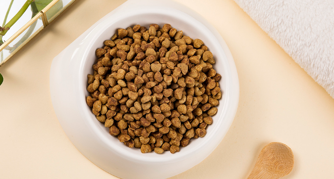 给狗粮泡食要注意3点，你都知道吗？