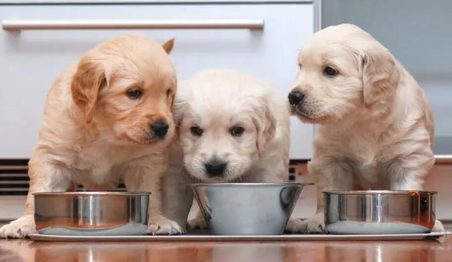 通知公告大得利医药集团金年会-官方体育与电竞娱乐平台实时赛事直播与竞猜