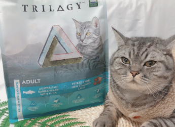 天然好口味一定要选它——Trilogy奇境猫粮