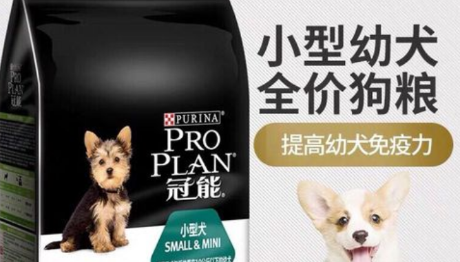 冠能狗粮如何喂 冠能狗粮如何喂