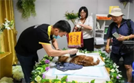 宠物殡葬师怎么考