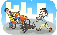 宠物犬撞翻电动车致人伤残