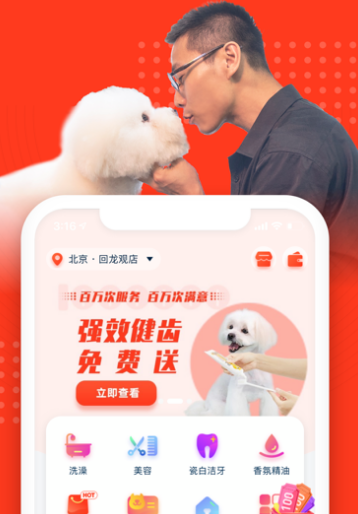 有没有养狗的app