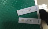 狗狗犬瘟测试纸怎么用