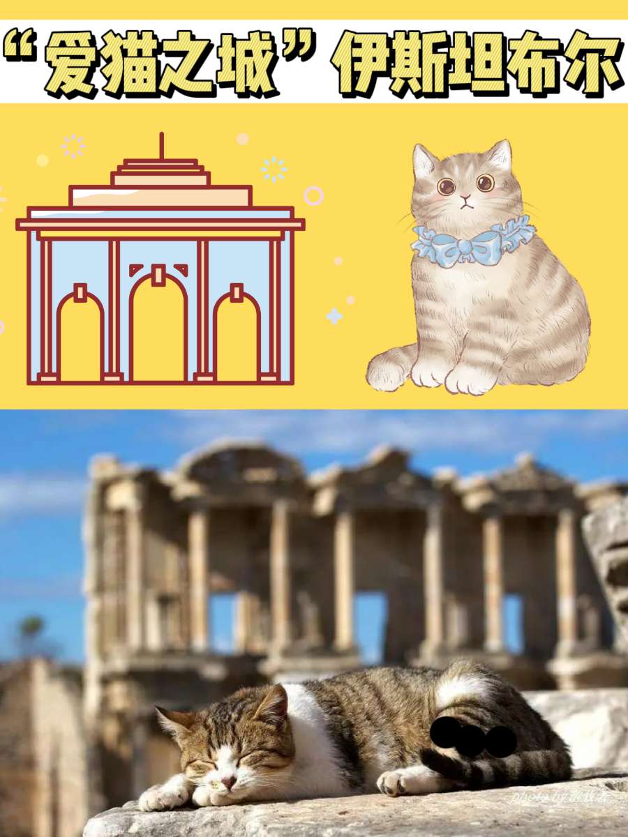 “爱猫之城”伊斯坦布尔，有生之年一定要去
