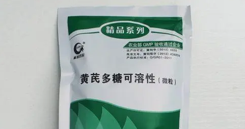 兽用黄芪多糖配青霉素作用